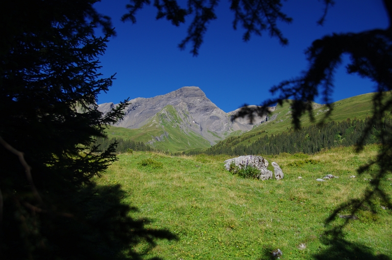 24h Hike Mammut_Ochsner 'Meiringen_Grosse Scheidegg 1962m' 18_08_2012 (102).JPG